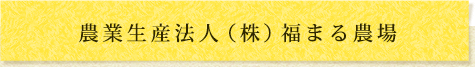 農業生産法人 株式会社福まる農場