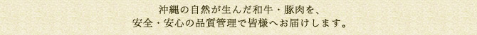沖縄の自然が生んだ和牛・豚肉を、
安全・安心の品質管理で皆様へお届けします。