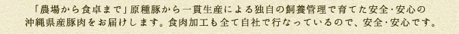 「農場から食卓まで」原種豚から一貫生産による独自の飼養管理で育てた安全・安心の沖縄県産豚肉をお届けします。食肉加工も全て自社で行なっているので、安全・安心です。