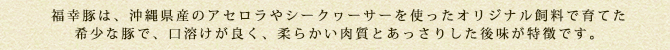 福幸豚は、沖縄県産のアセロラやシークヮーサーの使ったオリジナル飼料で育てた希少な豚で、口溶けが良く、柔らかい肉質とあっさりした後味が特徴です。