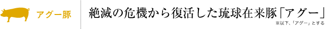 アグー豚 絶滅の危機から復活した琉球在来豚「アグー」※以下「アグー」とする