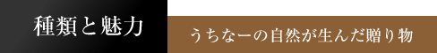 種類と魅力　うちなーの自然が生んだ贈り物