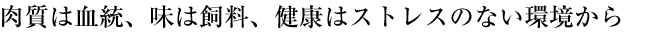 肉質は血統、味は飼料、健康はストレスのない環境から